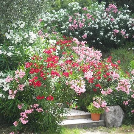 Le Dimore 2 * Torri Del Benaco