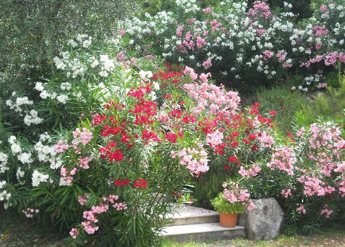 Le Dimore 2 * Torri Del Benaco